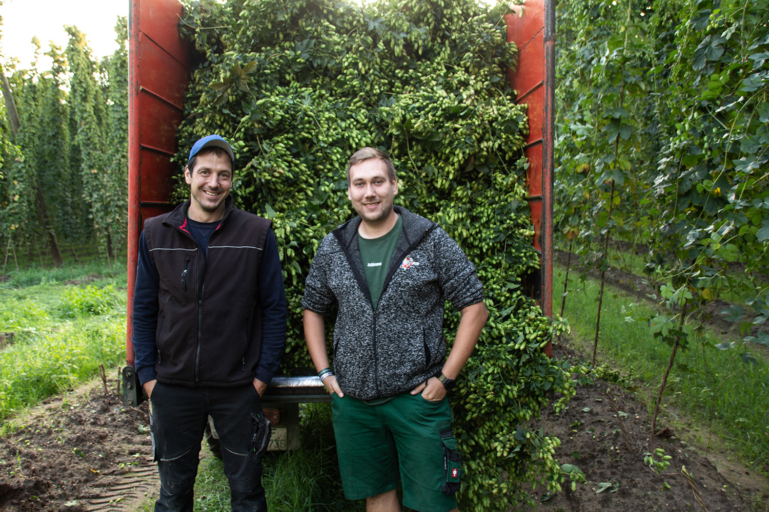 Hopfenernte - Junior Chef mit Hopfenbauer Johann Kuffner